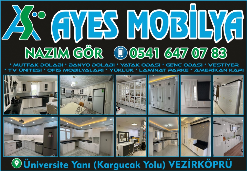 AYES