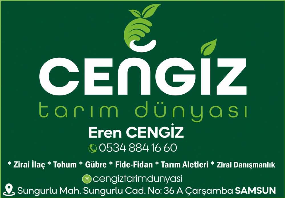 CENGİZ