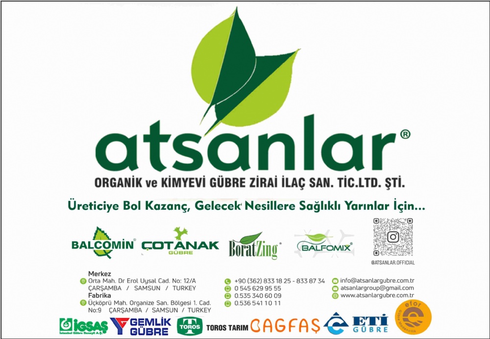 ATSANLAR