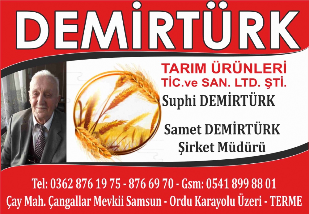 DEMİRTÜRK