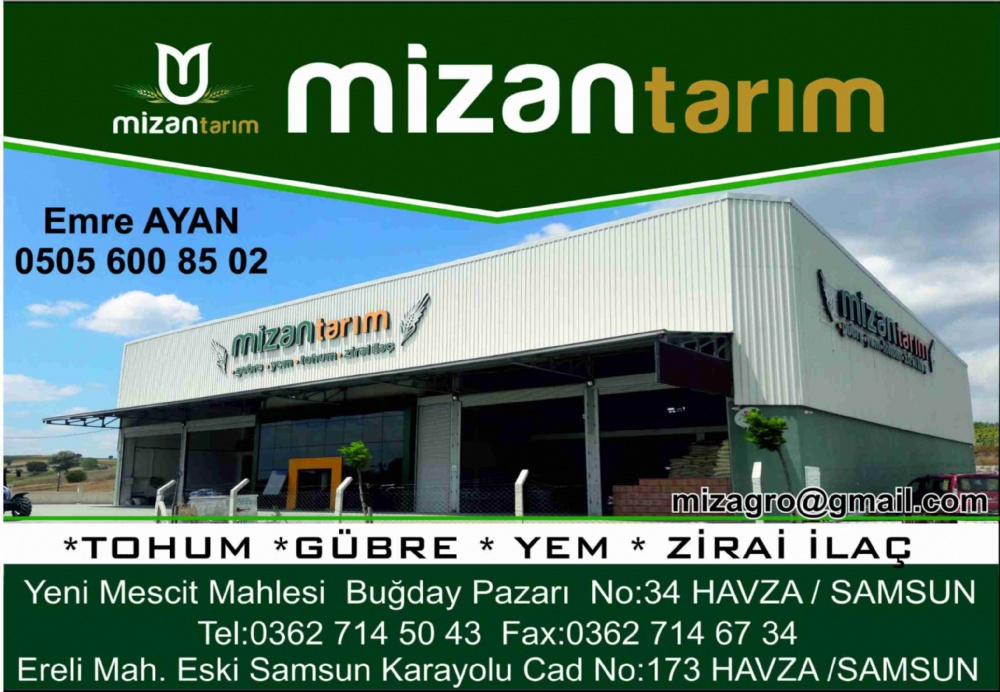 MİZAN