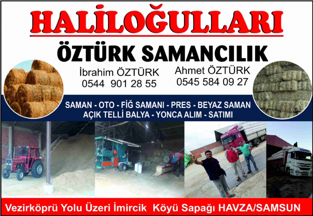 HALİLOĞULLARI