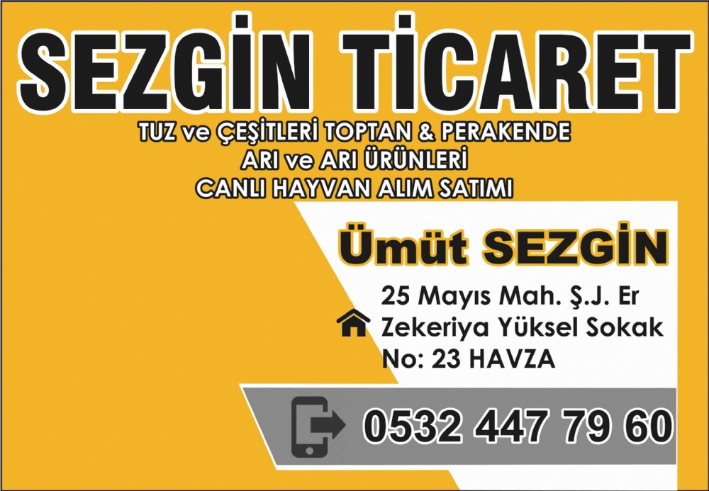 SEZGİN