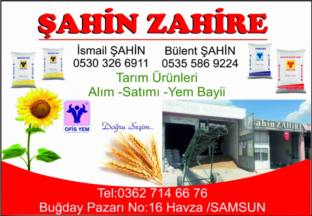 ŞAHİN