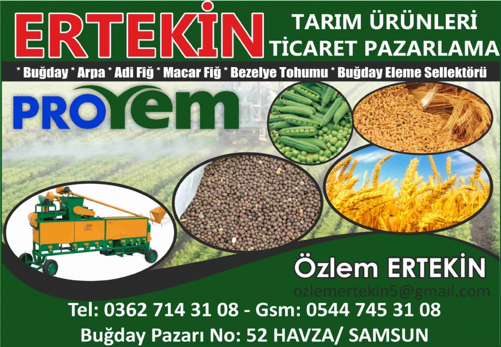 ERTEKİN