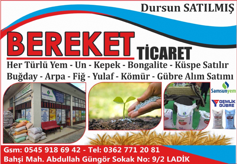 BEREKET