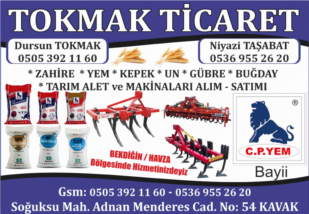 TOKMAK