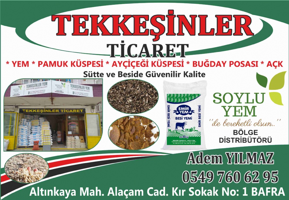 TEKKEŞİNLER